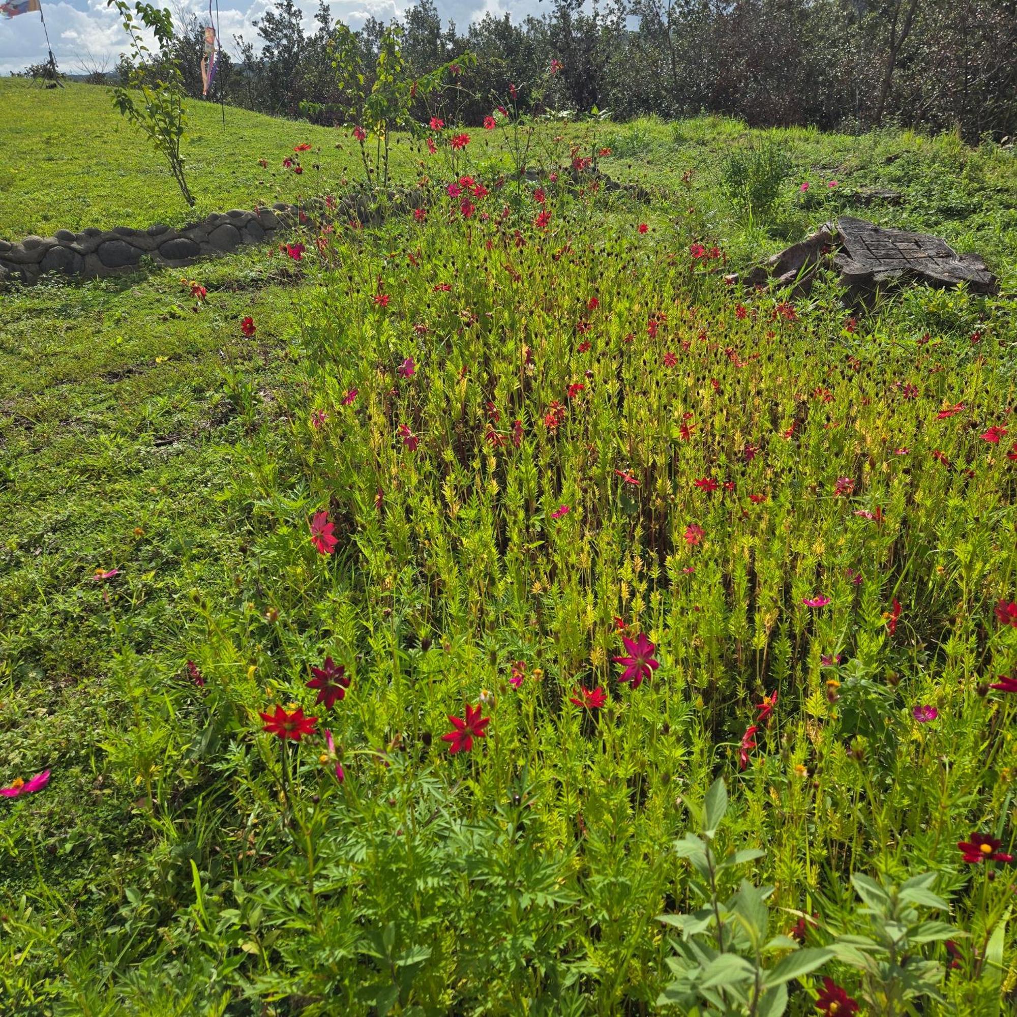 Hacienda En Los Volcanes Guayabo  Екстер'єр фото