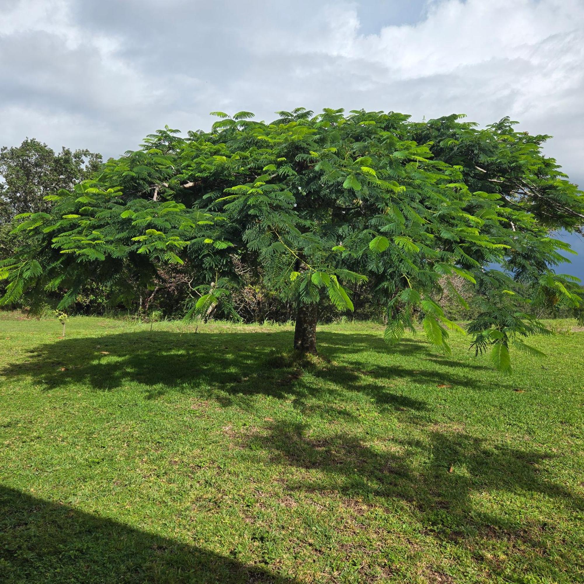 Hacienda En Los Volcanes Guayabo  Екстер'єр фото
