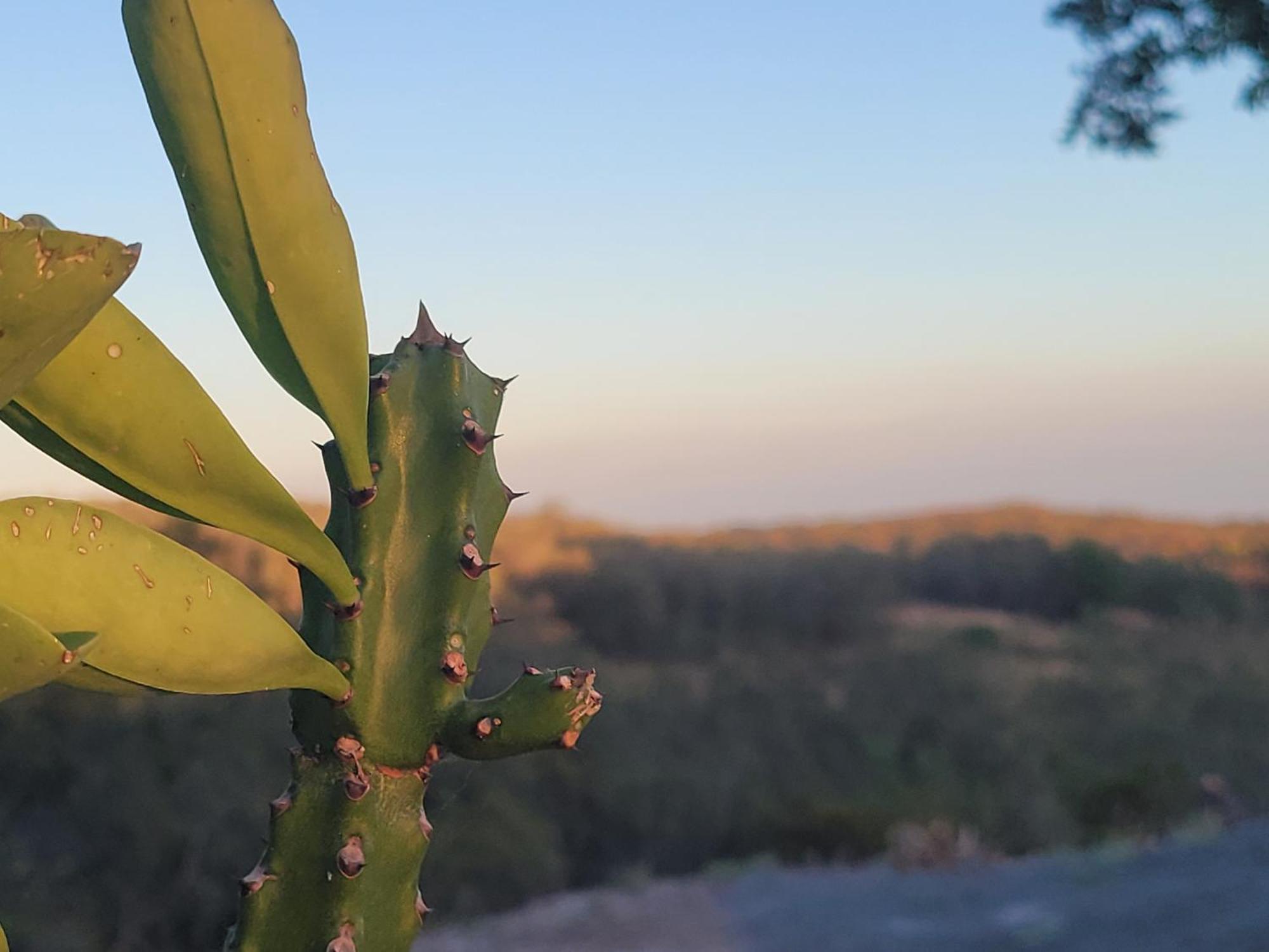 Hacienda En Los Volcanes Guayabo  Екстер'єр фото