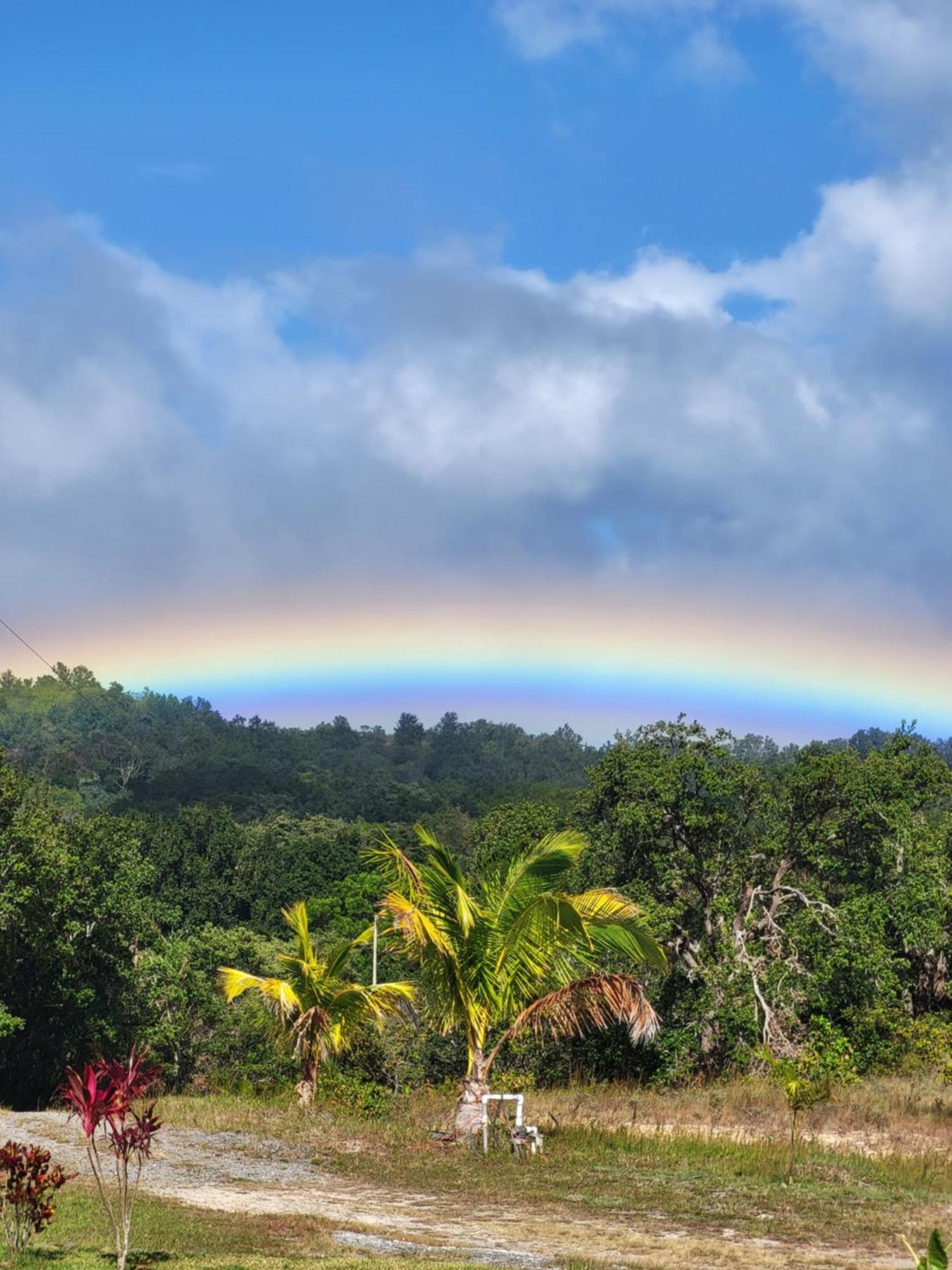 Hacienda En Los Volcanes Guayabo  Екстер'єр фото