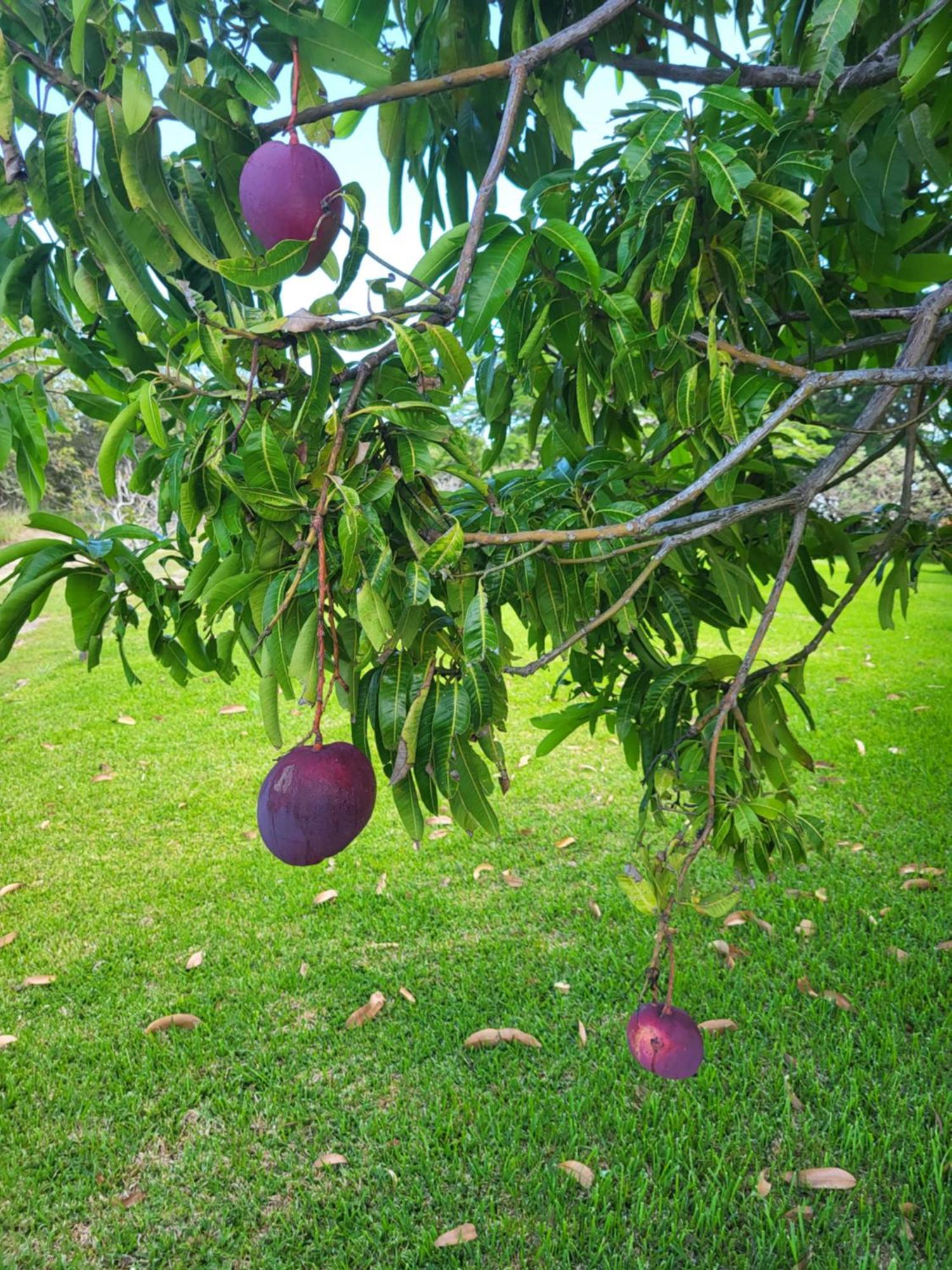 Hacienda En Los Volcanes Guayabo  Екстер'єр фото